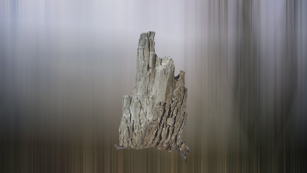 Stump