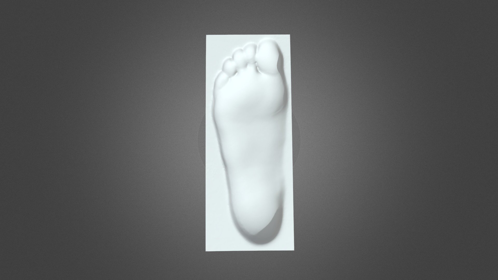 Footprint CastScanned by Revopoint POP 3 3D model by Revopoint 3D