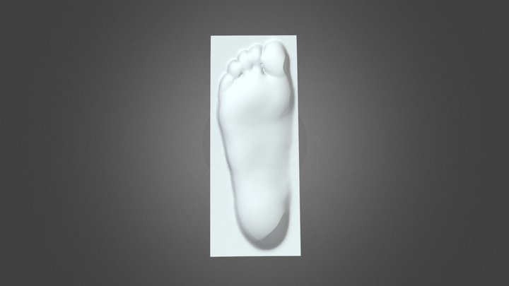 Footprint Cast-Scanned by Revopoint POP 3