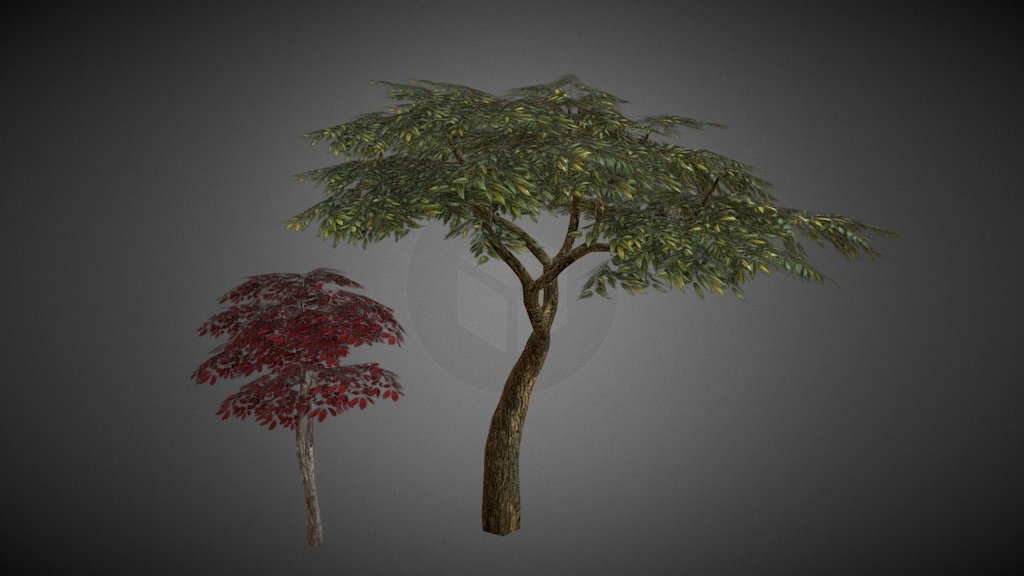 Trees - 3D model by Xavier Tumblod (@xaviertumblod) [8c51a80] - Sketchfab