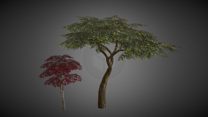 Trees 3D Model