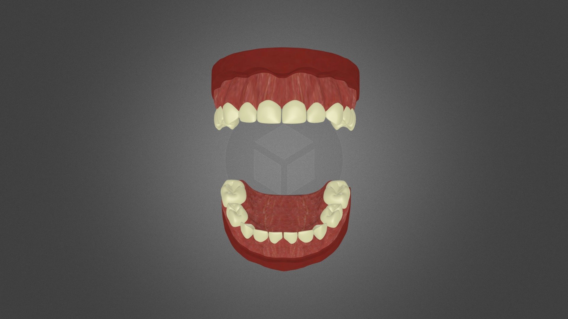 healthy dentition