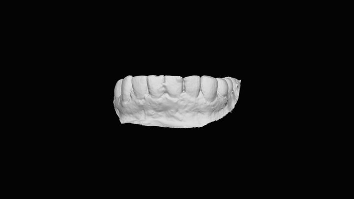 Lower teeth – Free 3D Model STL
