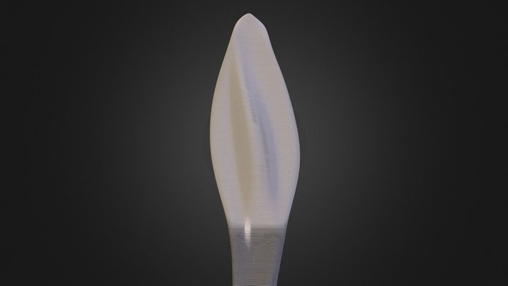 Maré - Alfa 3D Model