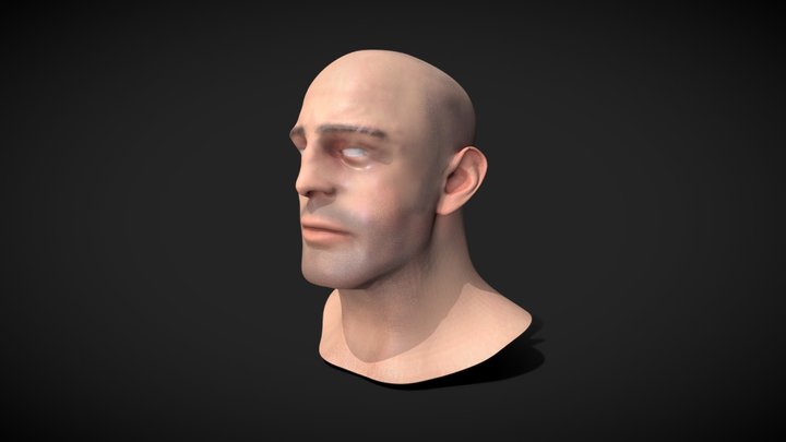 The Head 3D Model