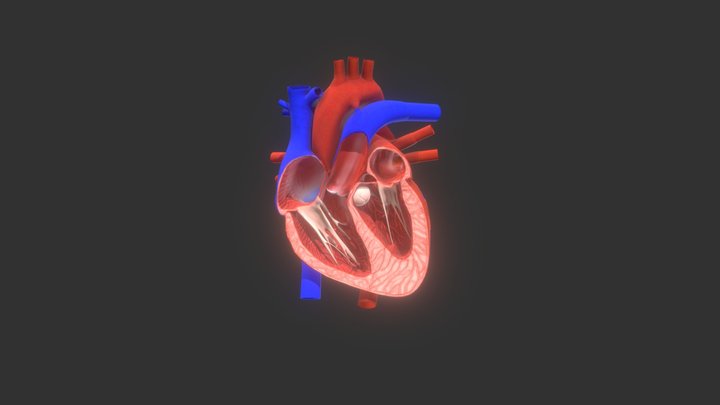 Heart_ NoText 3D Model