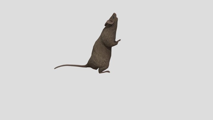 Rat All animation little nightmares 2 3D Model