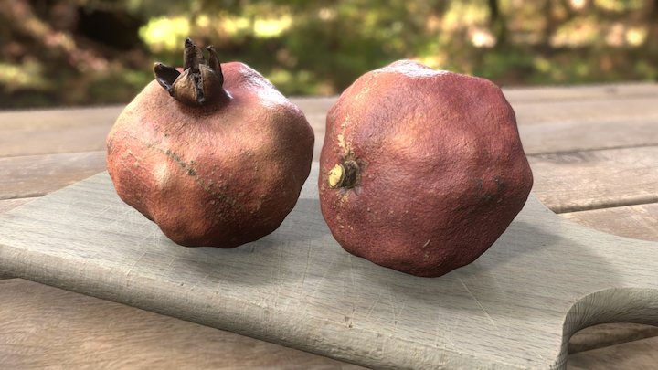 Old pomegranate – Modèle 3D gratuit STL