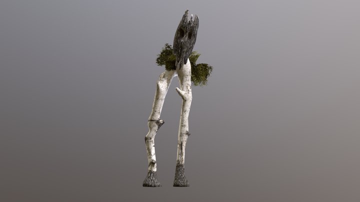 Tree Walker 3D Model