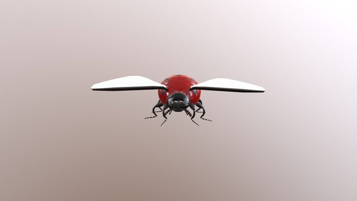 LadyBug Textures 3D Model