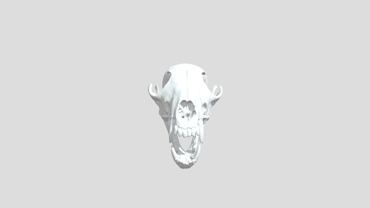 Borrowed_Scan_22 3D Model
