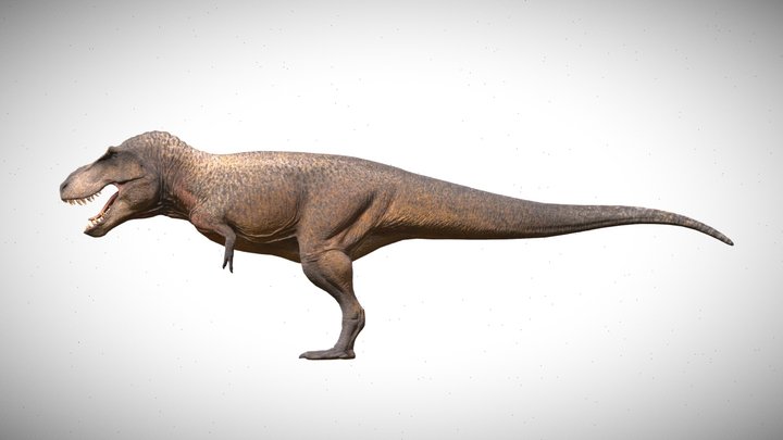 Tyrannosaurus Rex - The Isle: Evrima 3D Model