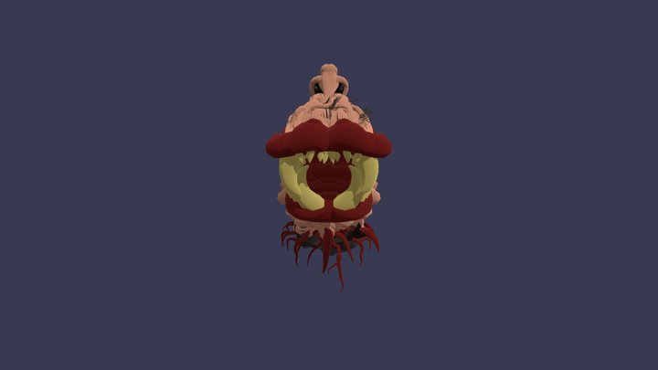 Muscipredator 3D Model
