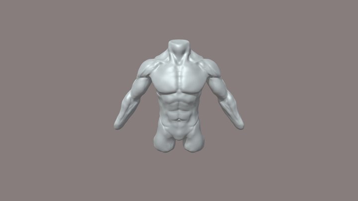 Torso LOCO 3D Model