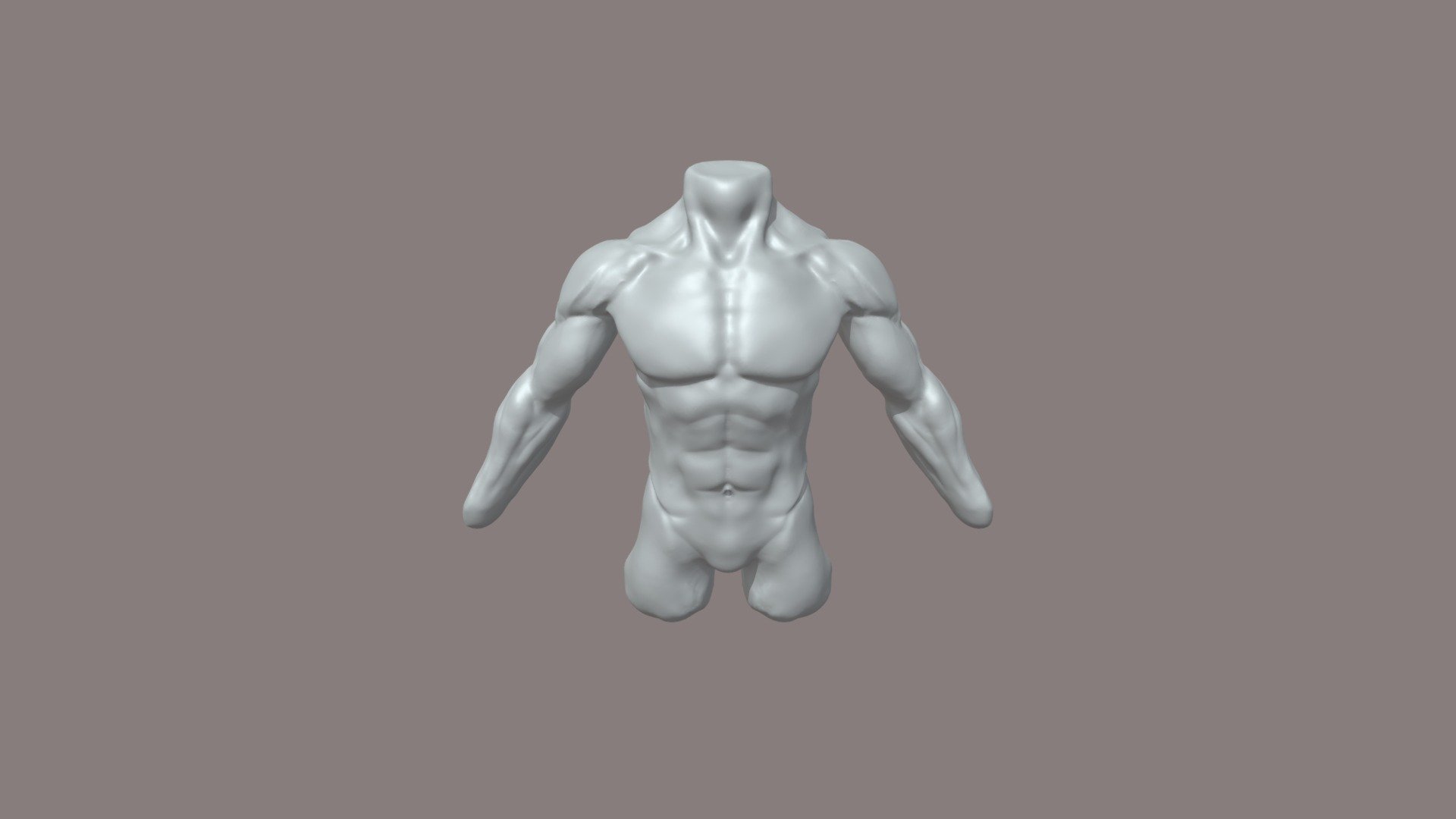 Torso LOCO