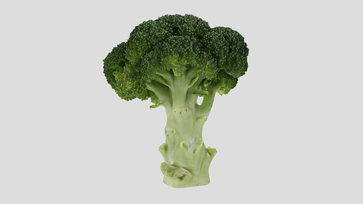 ブロッコリー(brocoli) 3D Model