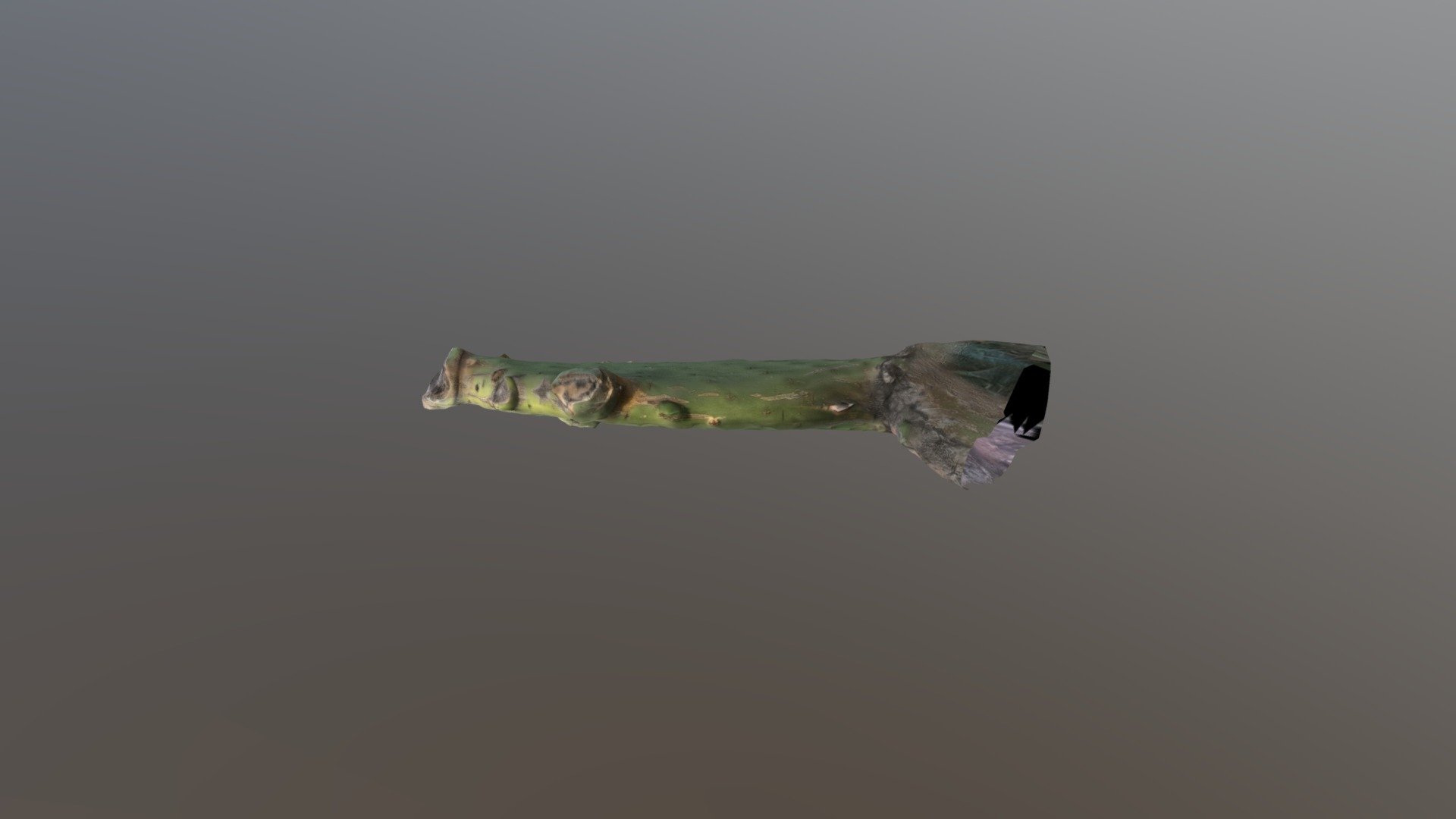 Nopal