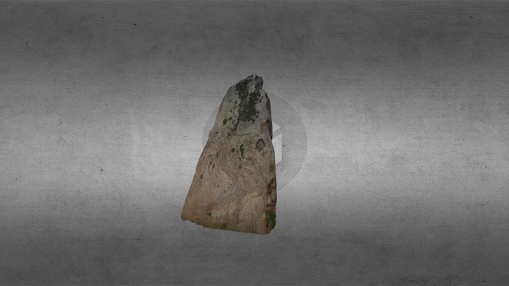 Txoritokieta 3D Model