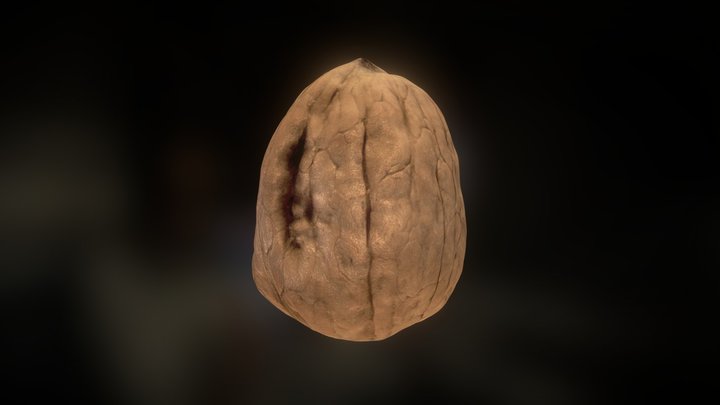 Walnut – Free 3D Model STL