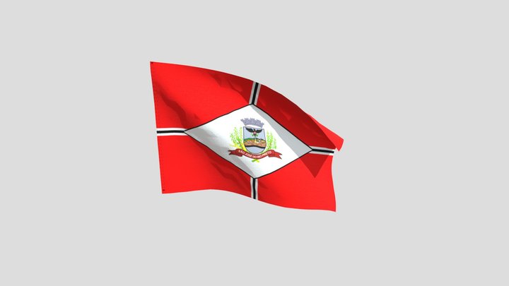 Bandeira São José do Rio Preto 3D Model