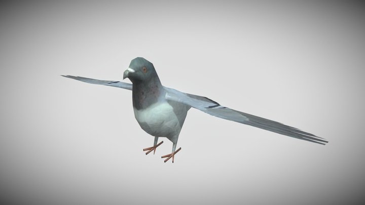 Pigeon – Modèle 3D gratuit STL