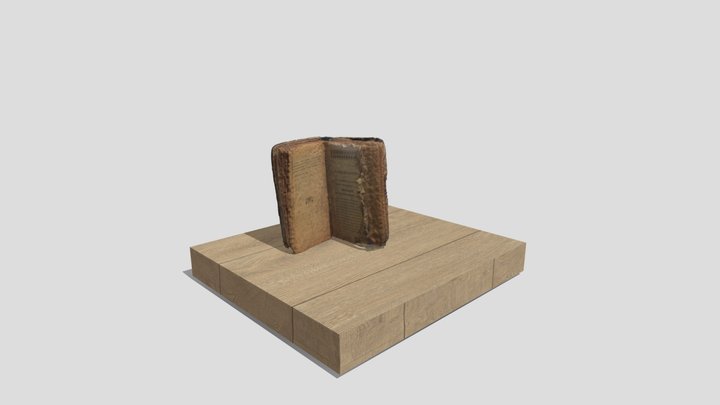 llibre antic 3D Model