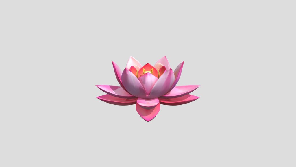 A pink lotus flower