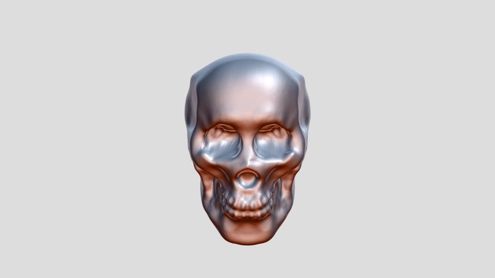 Skull 3D Model