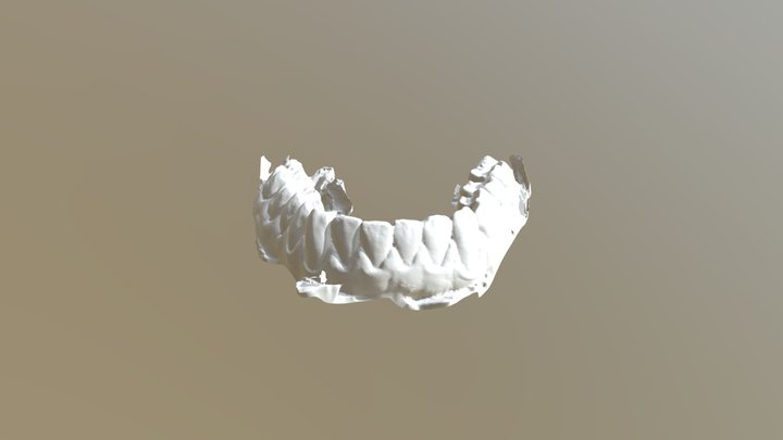 28602830 Shell Occlusion L 3D Model