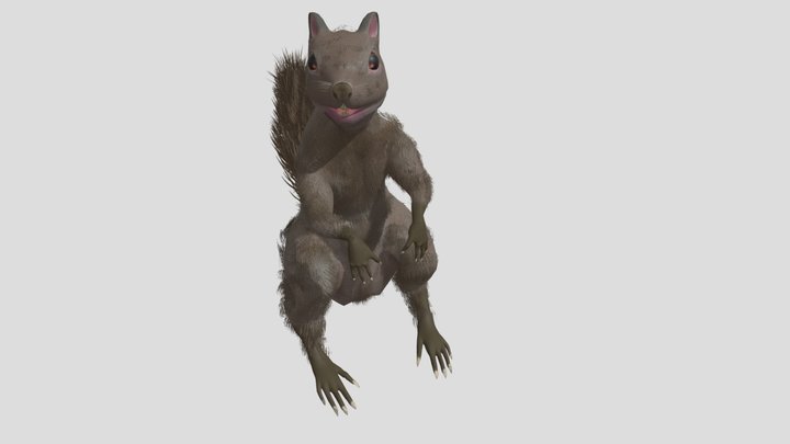 Squirrel 3D Model