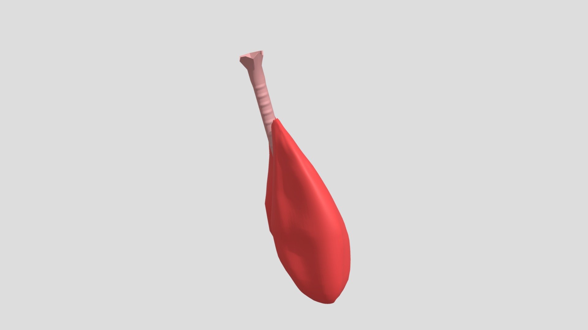 Lngs — Sketchfab embed 3D viewer