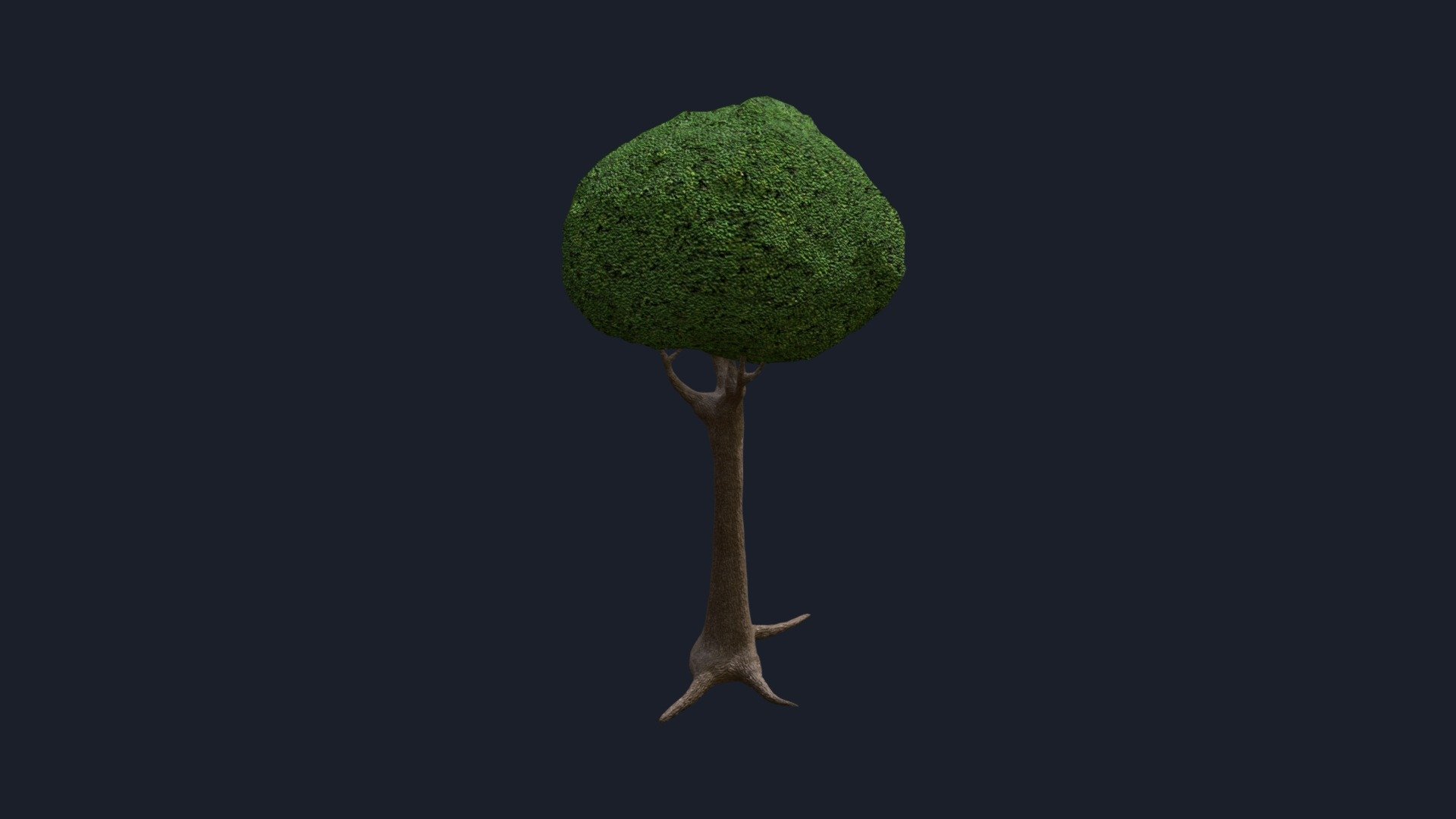 дерево 3 - 3D model by Rostislav777 [8c872b2] - Sketchfab
