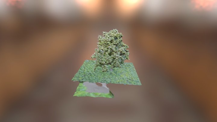 Chestnut tree 3D Model