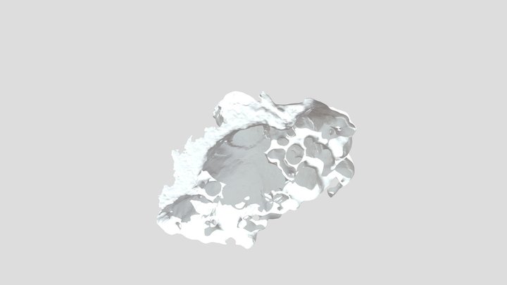 唐敖庆扫描版 3D Model