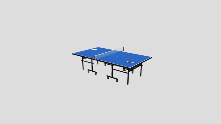 Professional Table Tennis