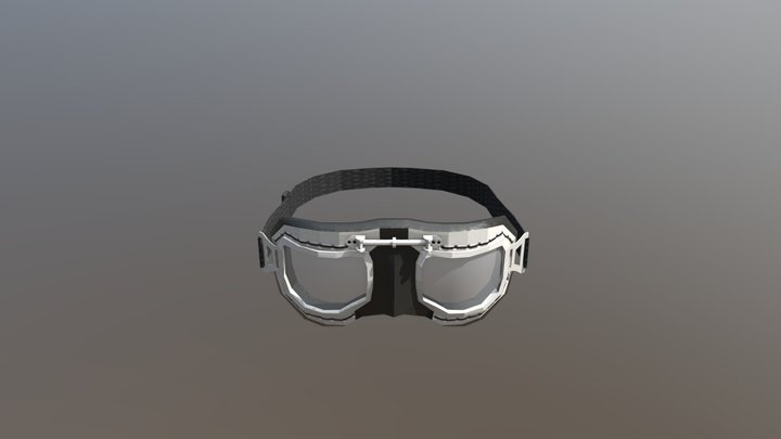 Goggles 3D Model