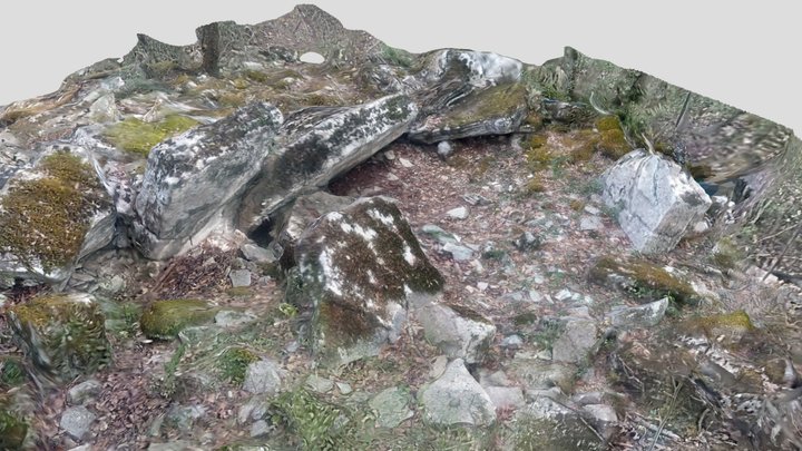 Dolmen A de la Plaine de Calais 3D Model