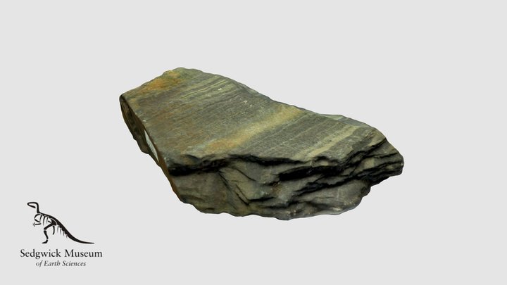 EduR681 Banded Slate 3D Model