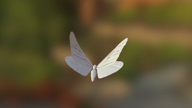 Concern_Butterfly.c4d 3D Model