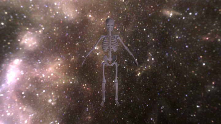 Moran Skeleton2 3D Model