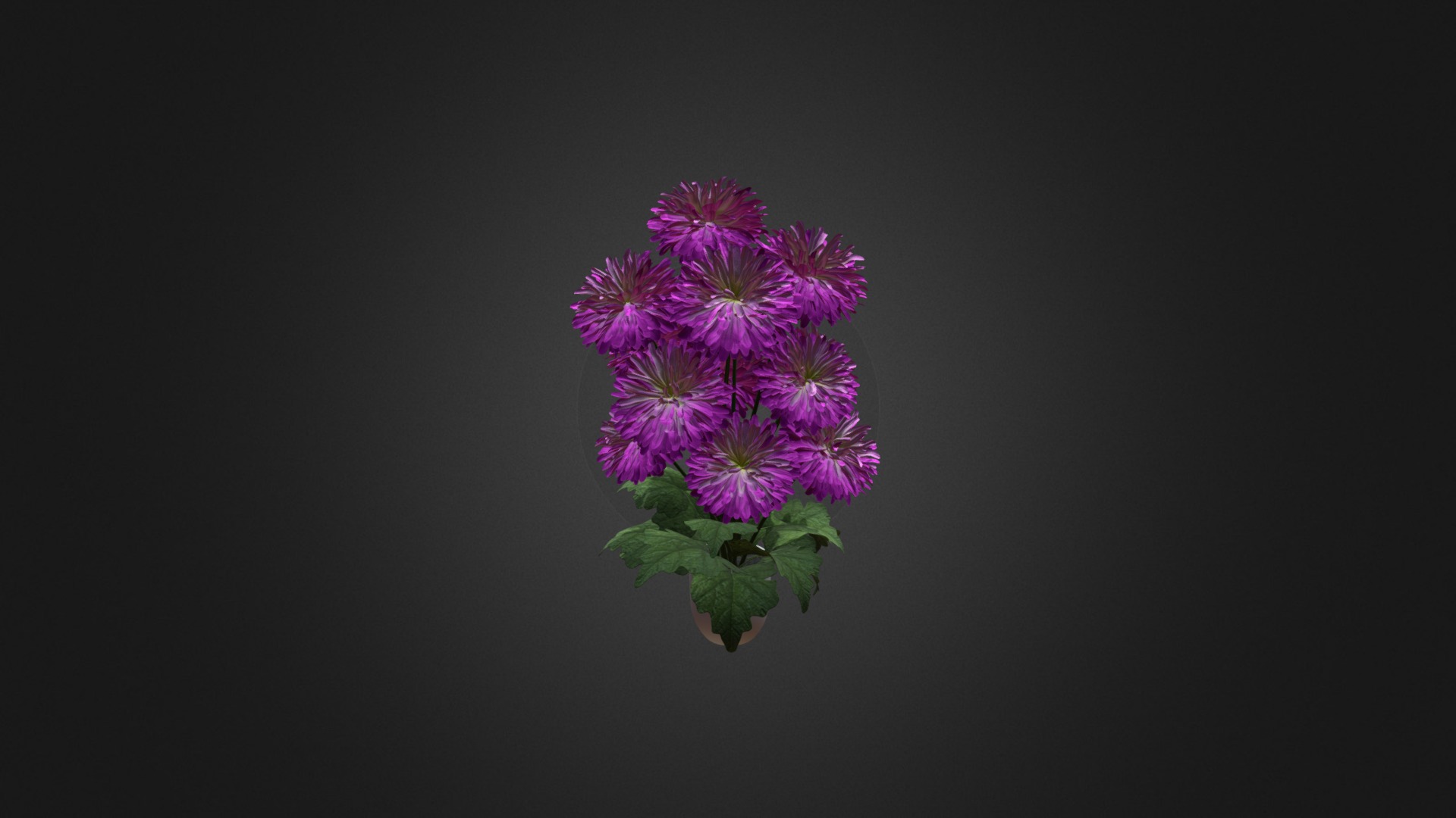 3D model Pink Flowers in White Pot - This is a 3D model of the Pink Flowers in White Pot. The 3D model is about a purple flower with green leaves.