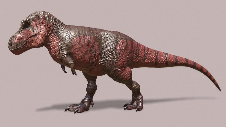 T-rex  illustration ver 3D Model
