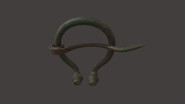 Horseshoe-shaped fibula with biconical ends 3D Model