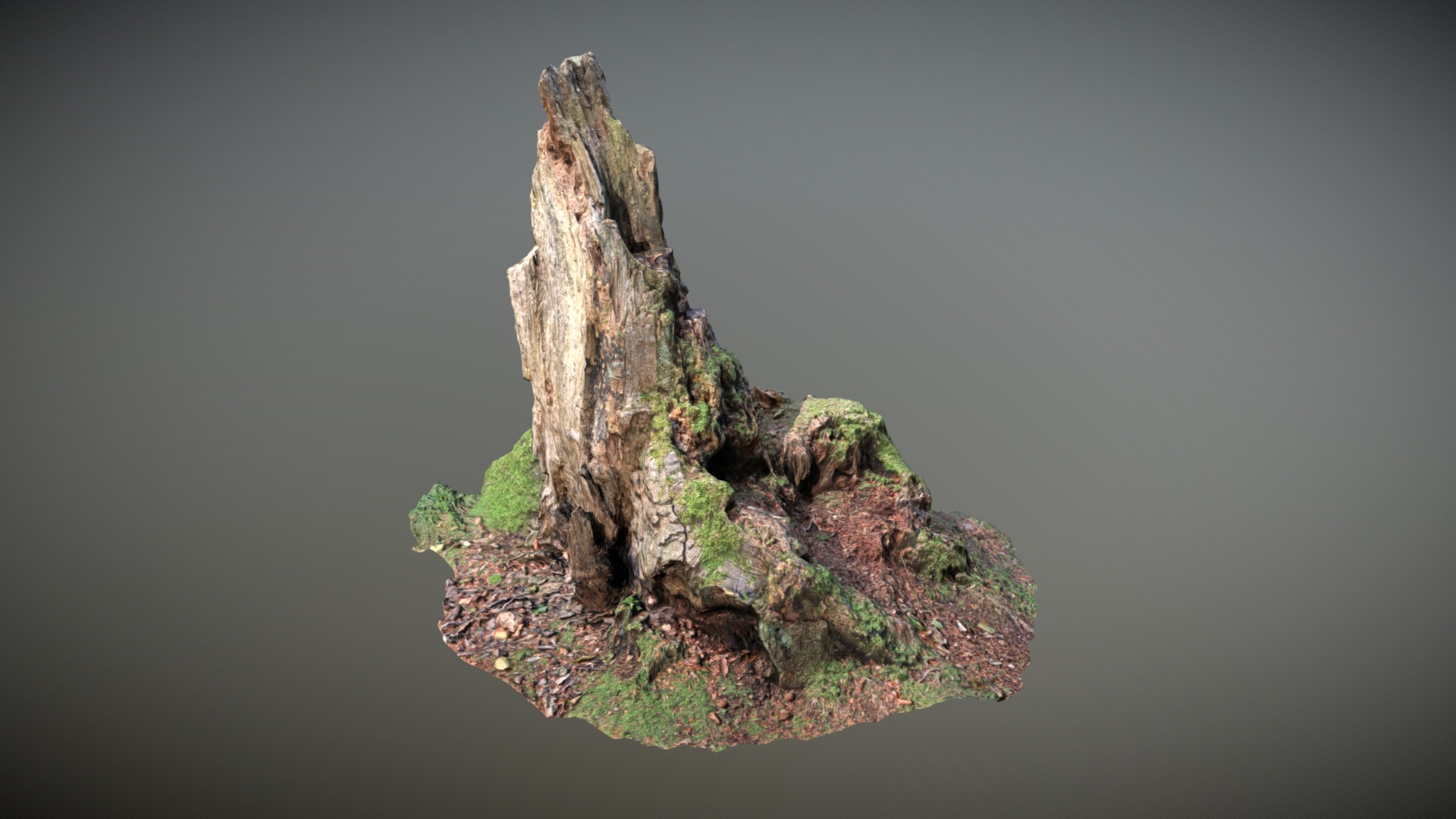 3D model Nature Stump 010 - This is a 3D model of the Nature Stump 010. The 3D model is about a tree stump with moss growing on it.