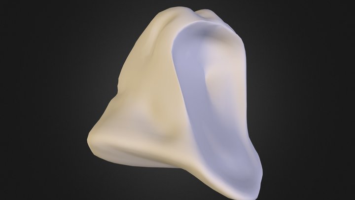 ali2.OBJ 3D Model