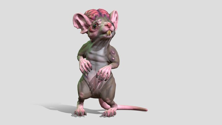 Lab Rat 3D Model