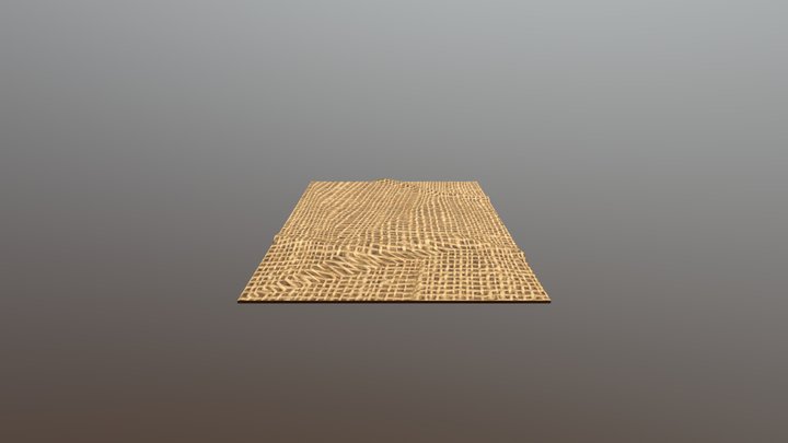 Carpet Skin Texture 3D Model