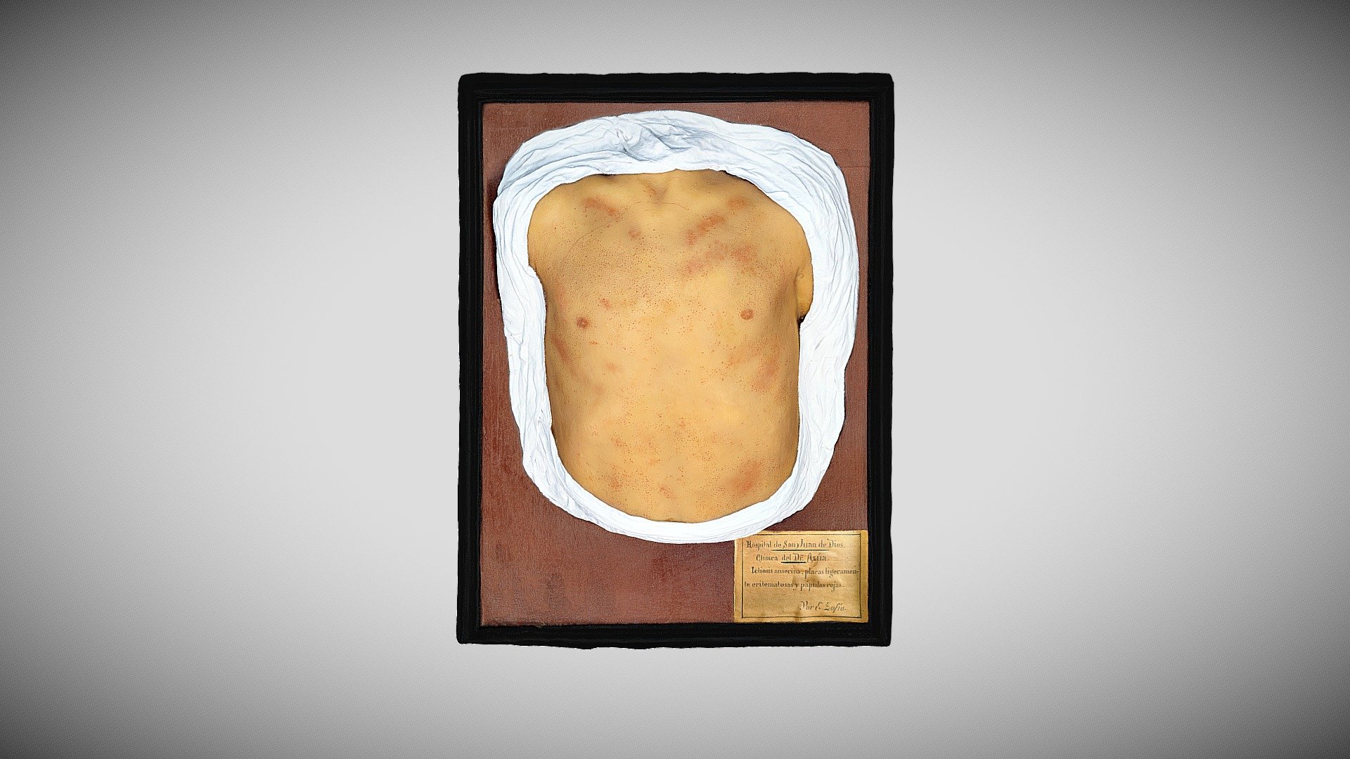 364 - 219 — Sketchfab embed 3D viewer