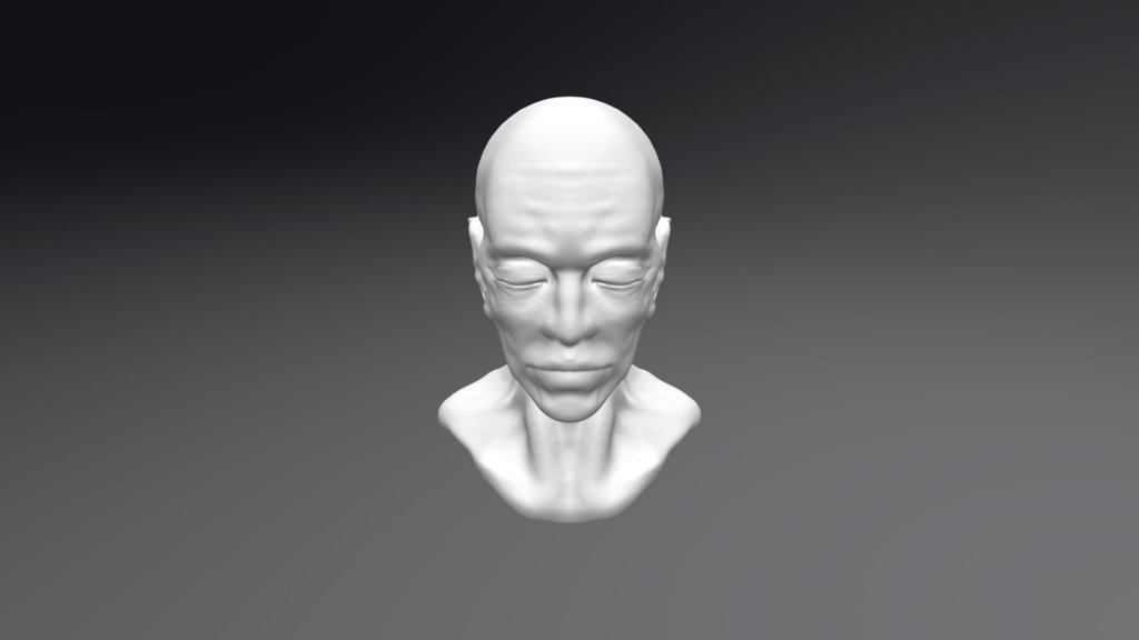 Testa Uomo - Download Free 3D model by Anastasia T ...