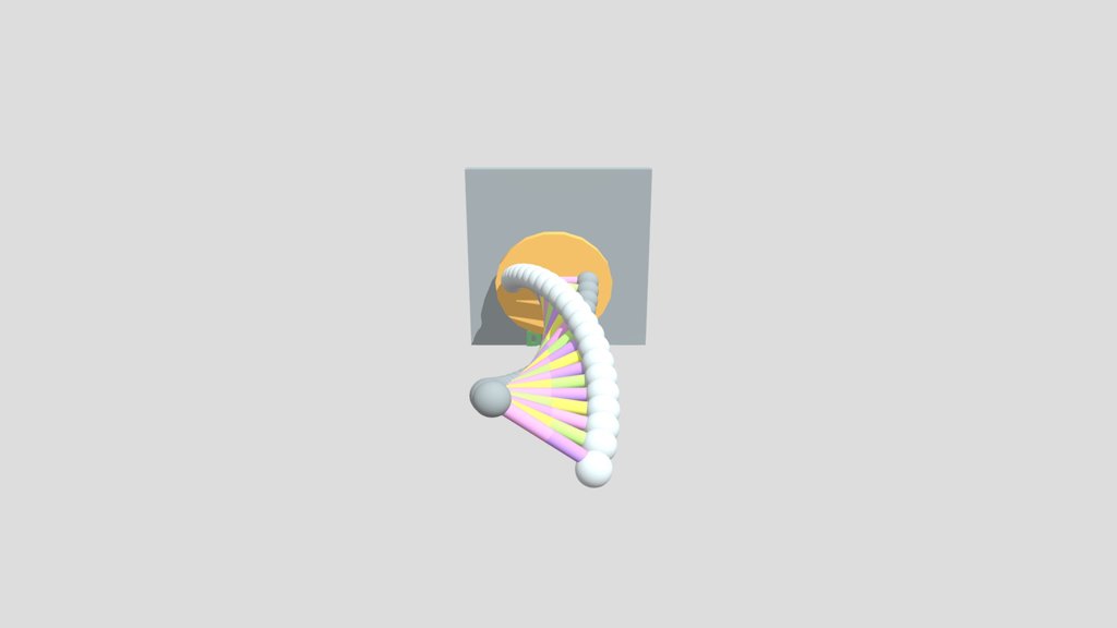 DNA 3D model